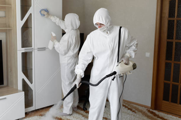 Best Toxic Mold Removal  in Washington Heights, NY