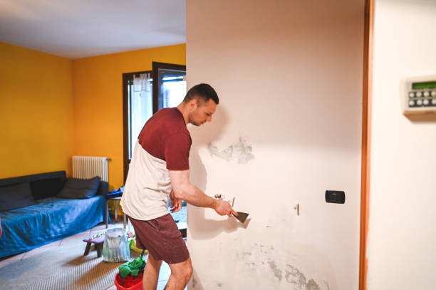 Best Mold Testing  in Washington Heights, NY